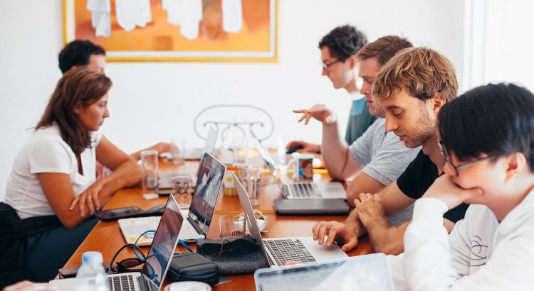 group of people using laptops